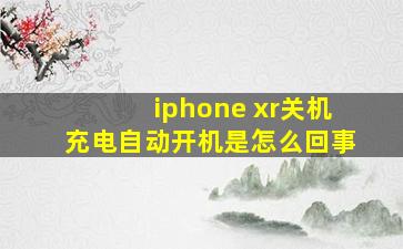 iphone xr关机充电自动开机是怎么回事